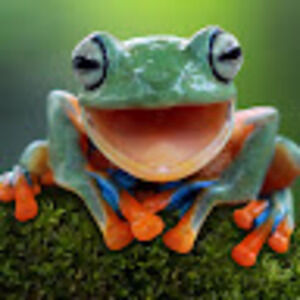 Meet your Posher, Mac